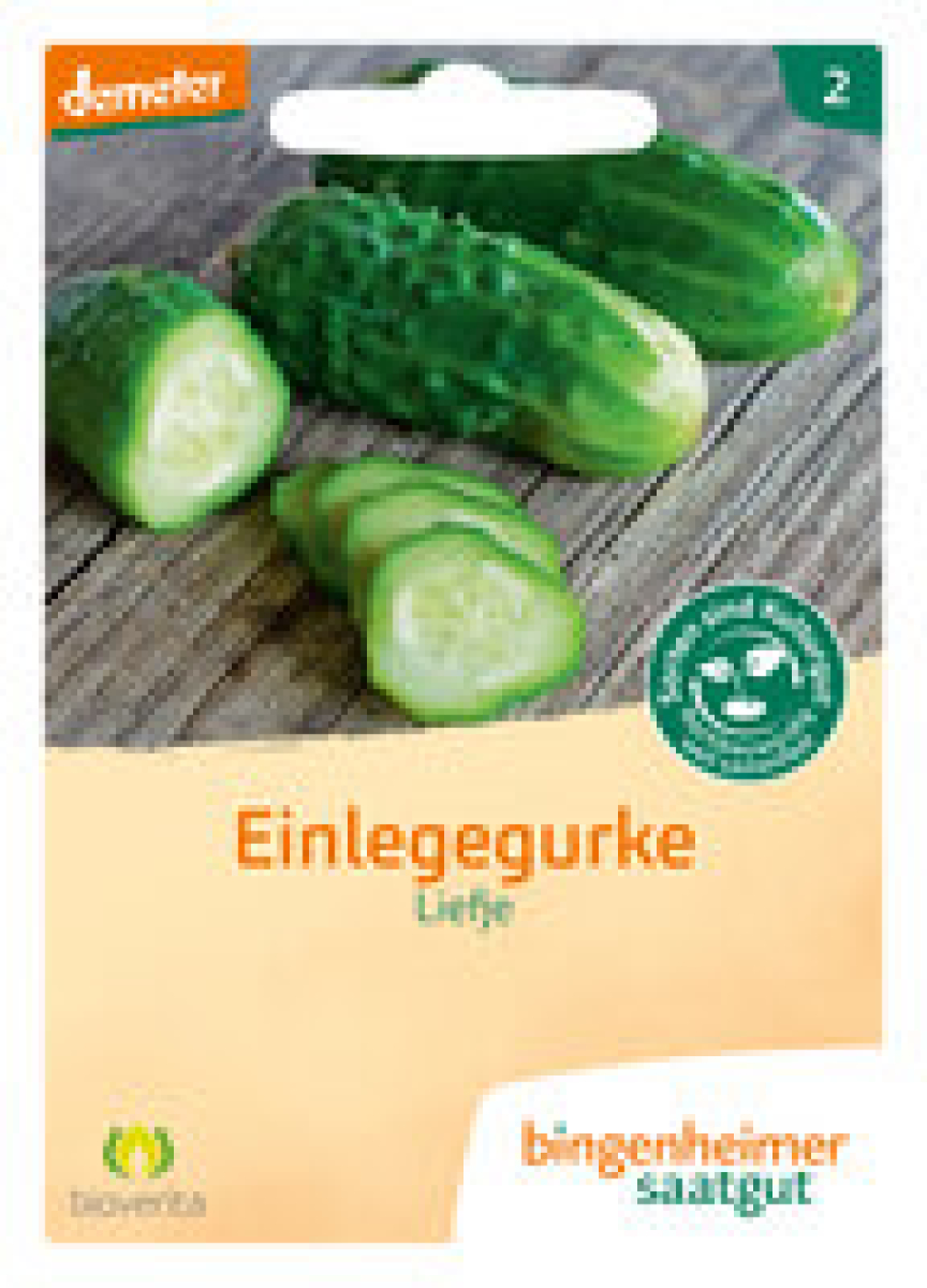 Saat Einlegegurke "Liefje"