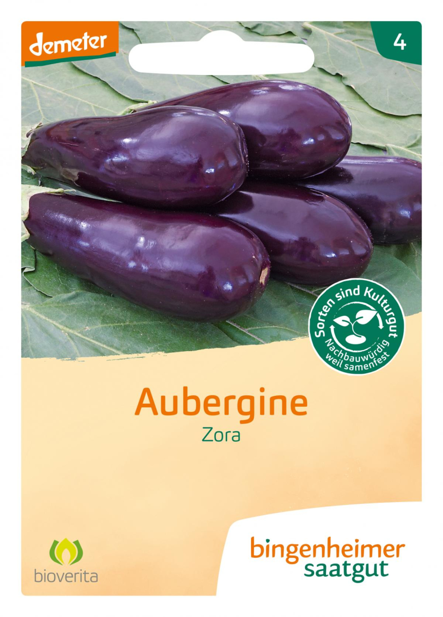 Saat Aubergine "Zora"