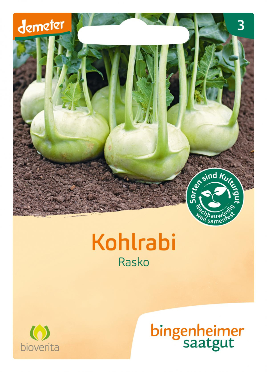 Saat Kohlrabi "Rasko"