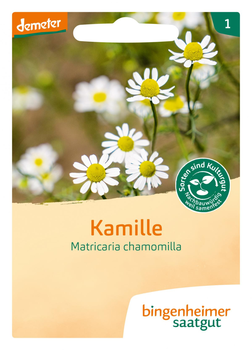 Saat Kamille