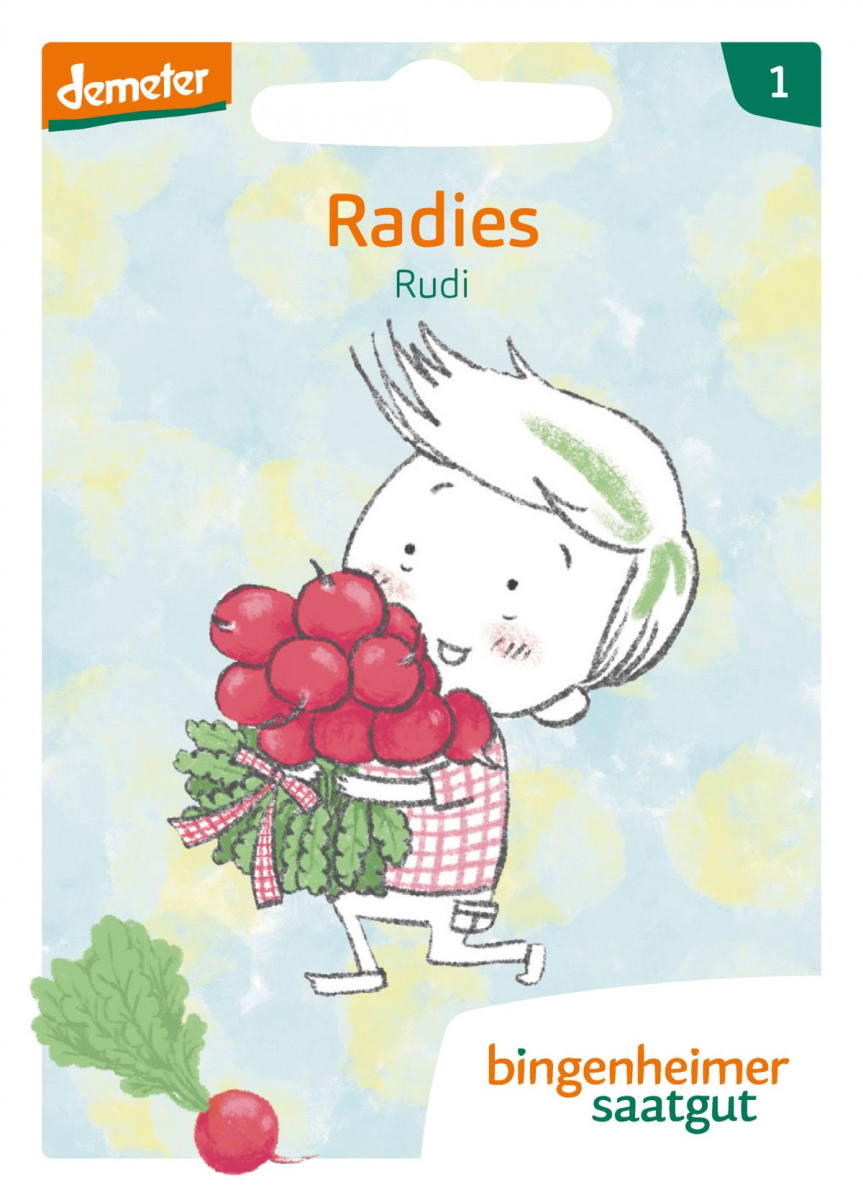 Saat Radies Rudi