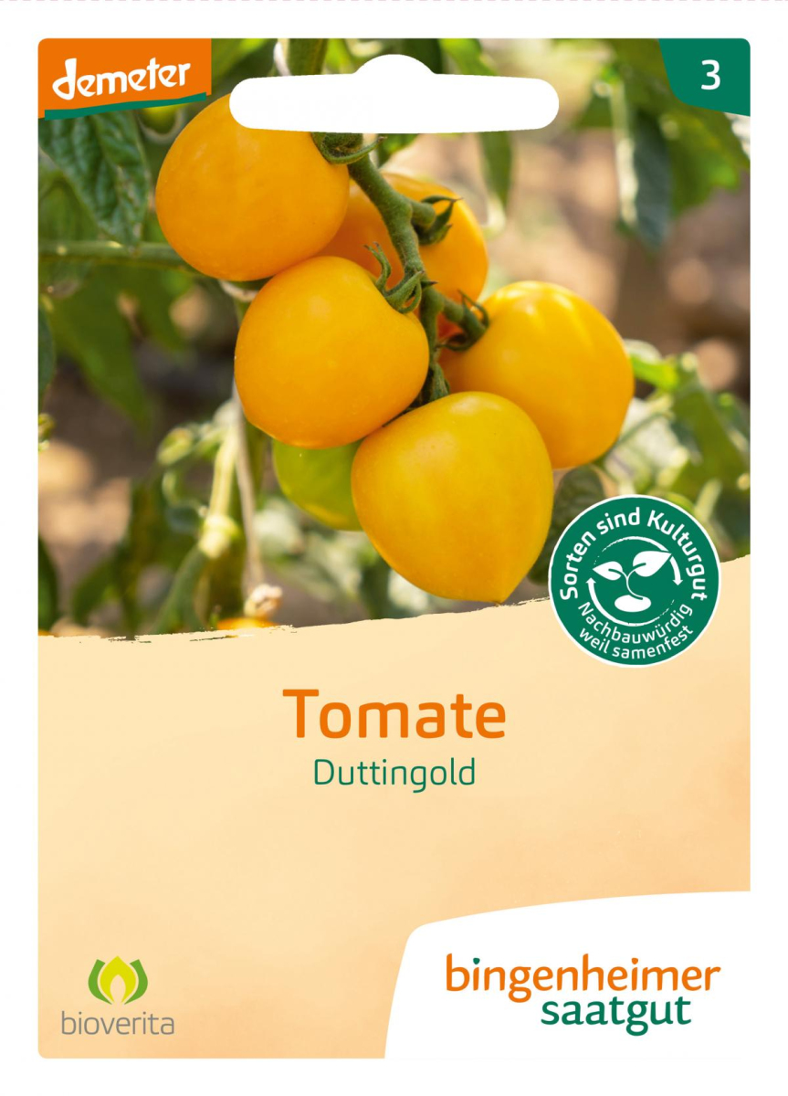 Saat Tomate "Duttingold" gelb