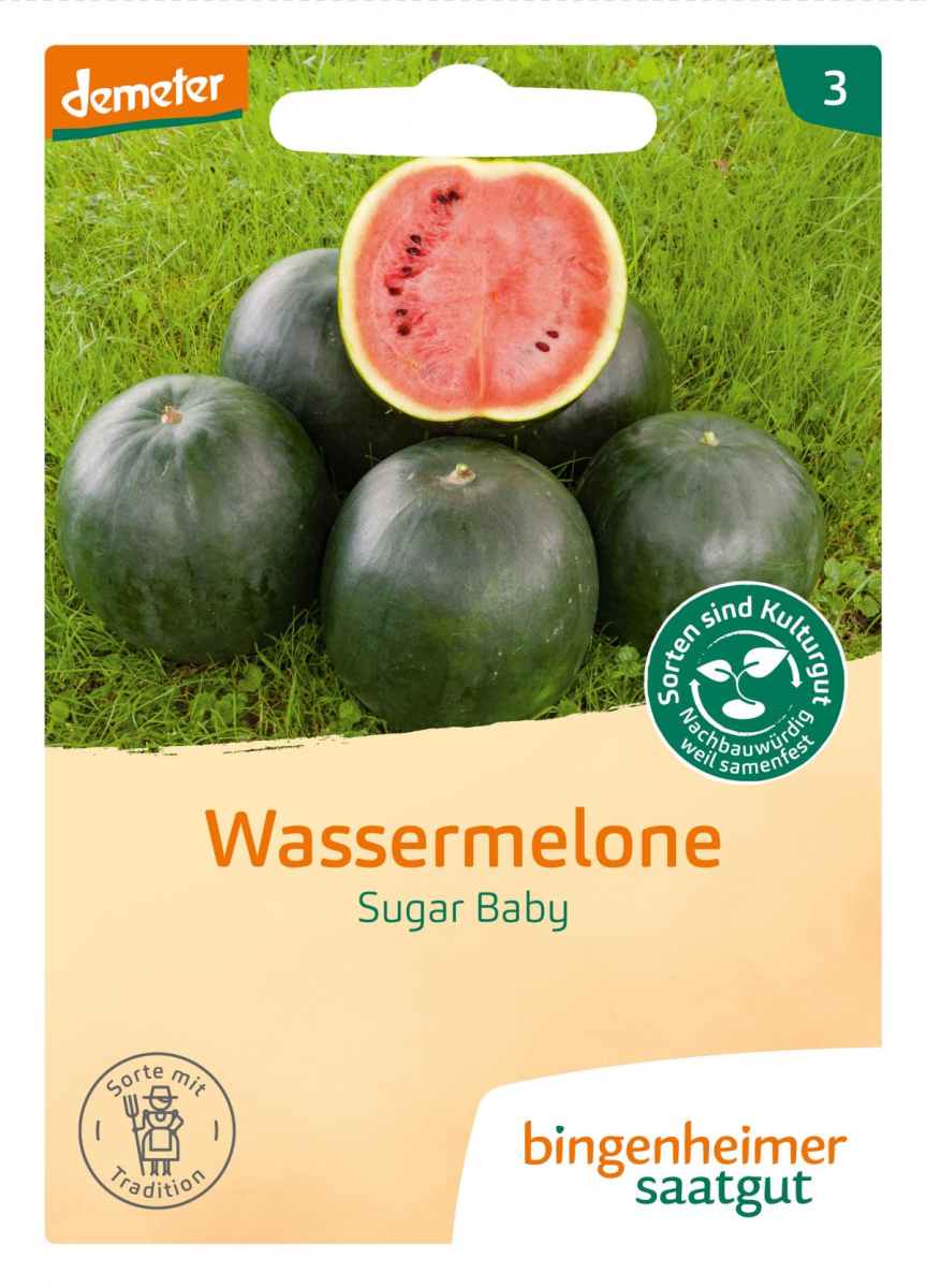 Saat Wassermelone "Sugar Baby"