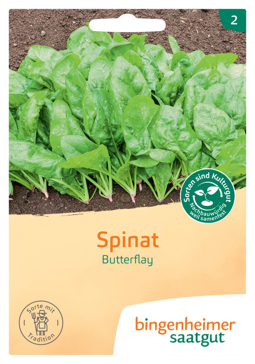 Saat Spinat "Butterflay"