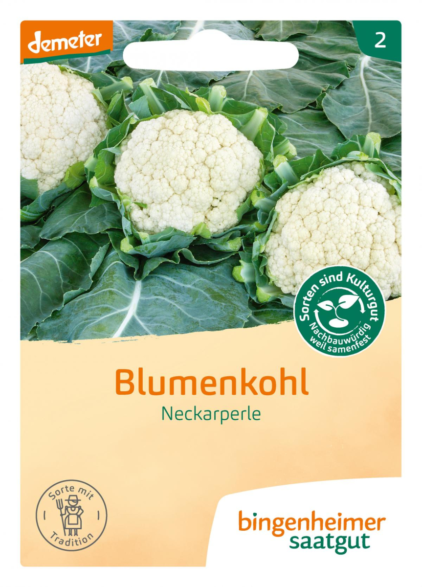 Saat Blumenkohl "Neckarperle"