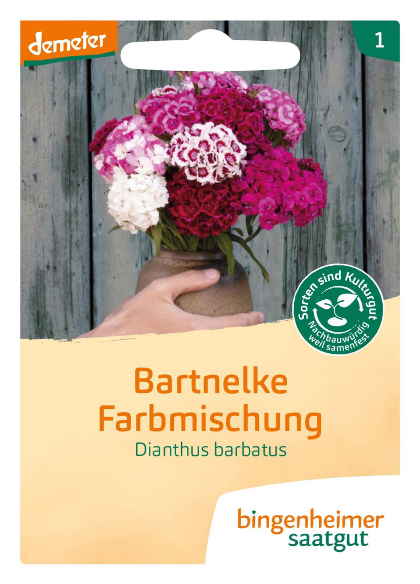 Saat Bartnelke