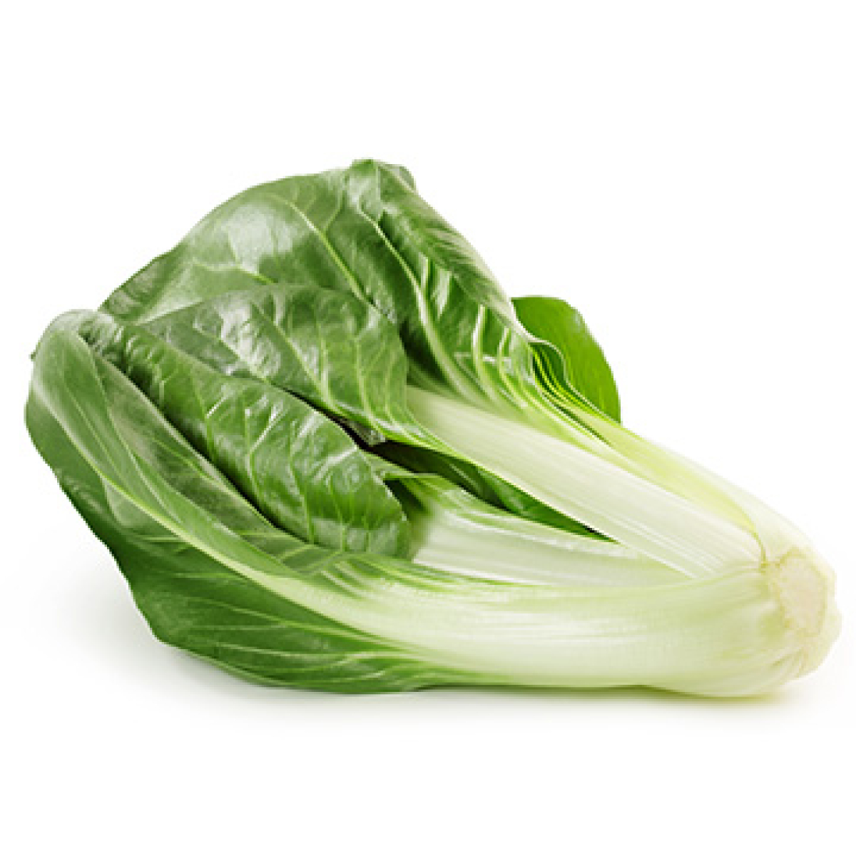 Mangold grün