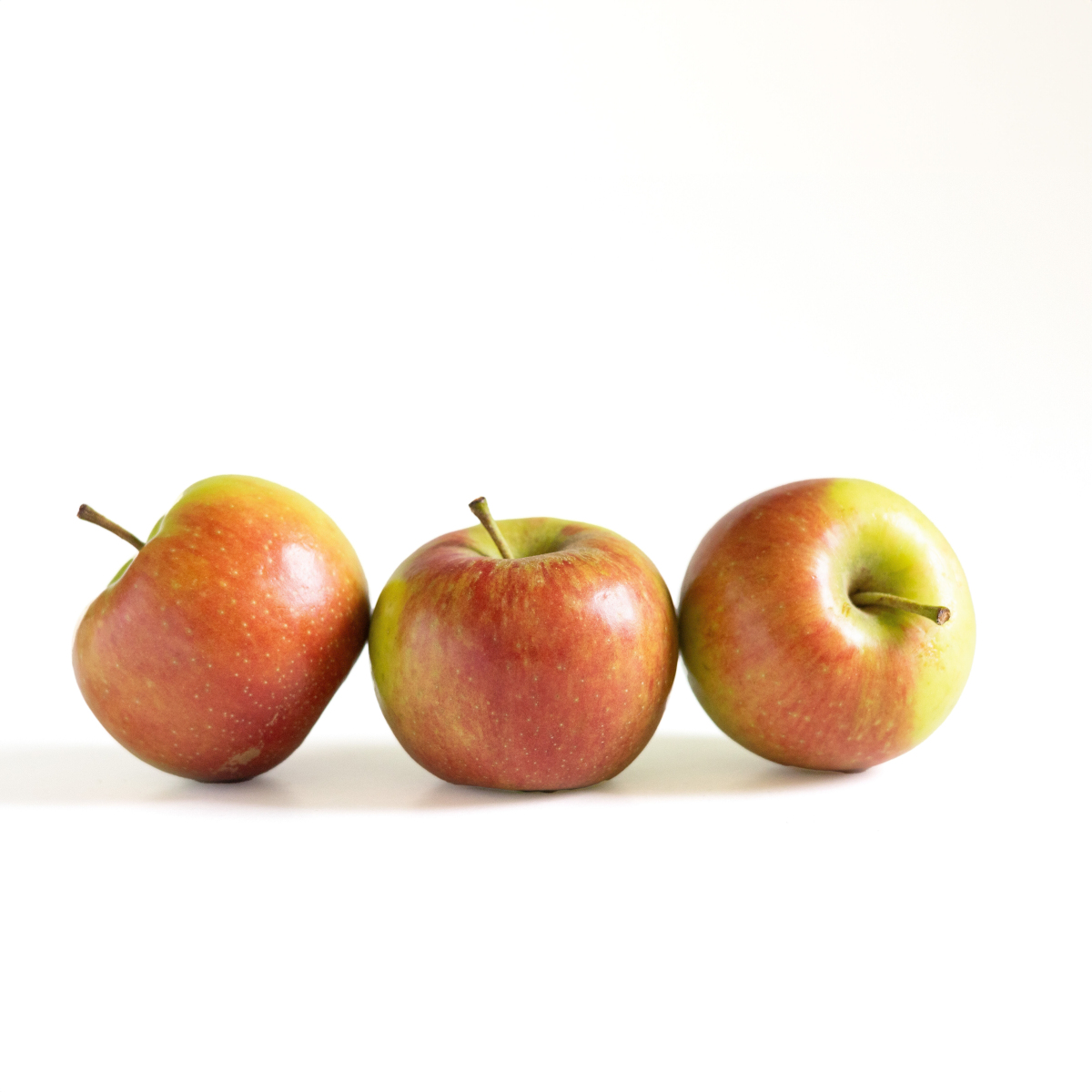 Apfel "Ambassy"