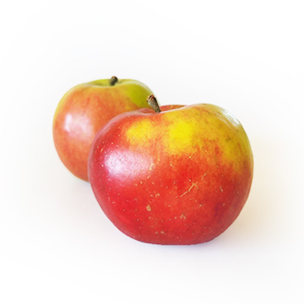 Apfel "Biesterfelder Renette"