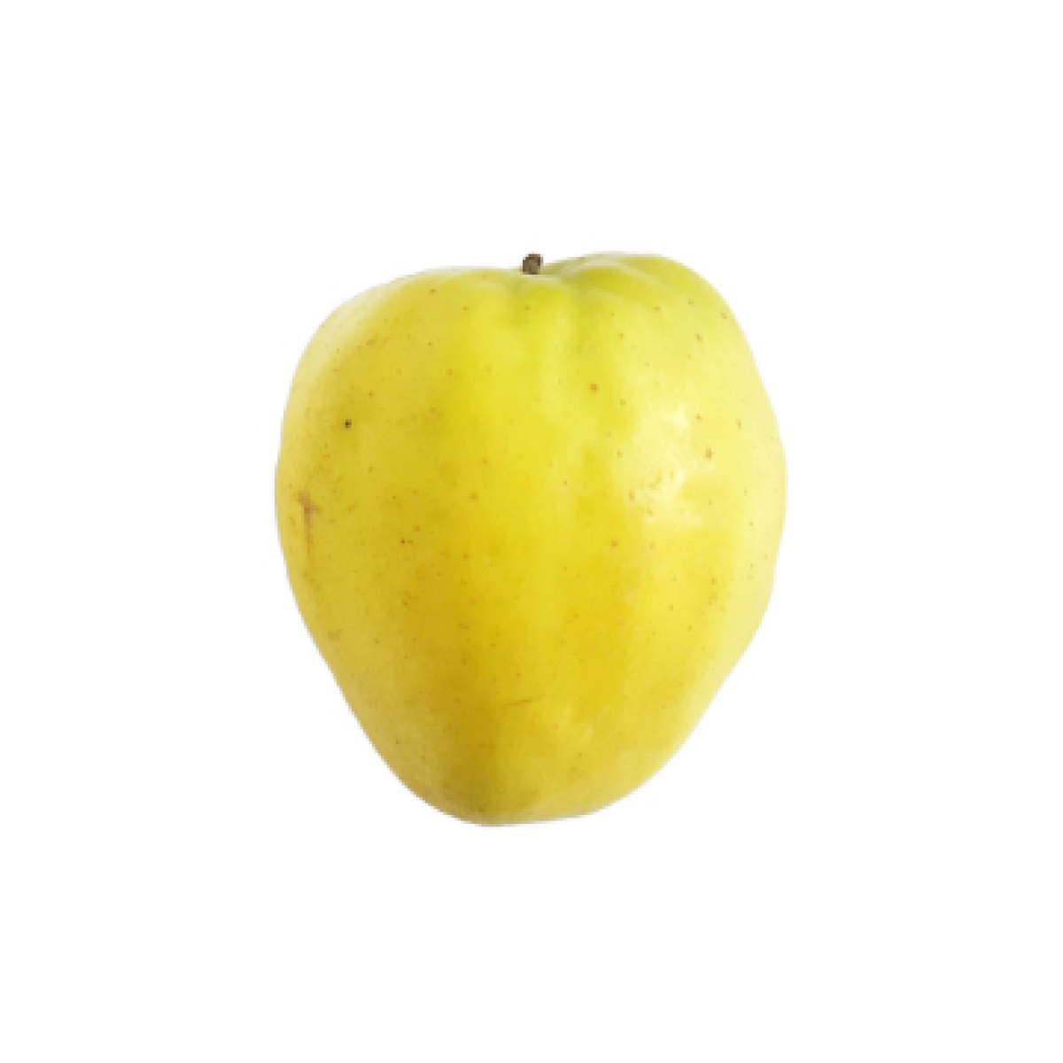 Apfel "Glockenapfel"
