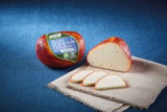 Pecorino Marzolino 50% Fett i. Tr.