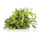 Bergbohnenkraut