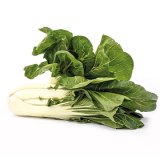 Pak Choy Mini