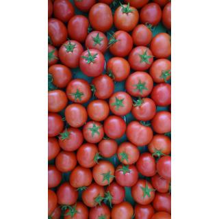Tomate rot "Retillo"
