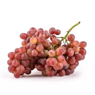 Kernlose Traube rot "Crimson"