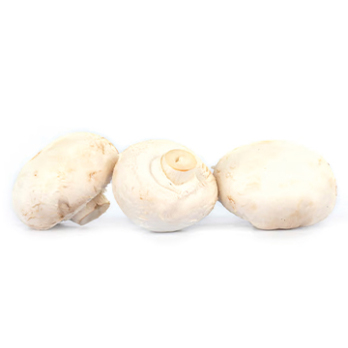 Champignons, weiß