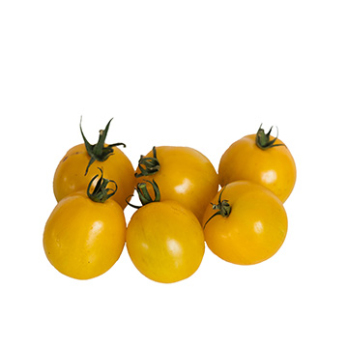 Tomaten gelb "Zebrago"