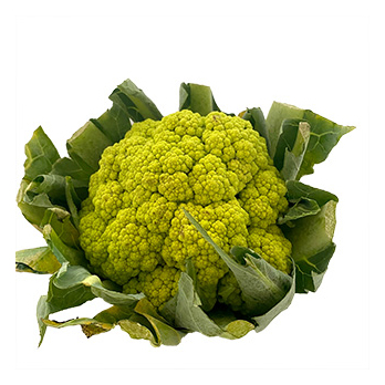 Blumenkohl, grün