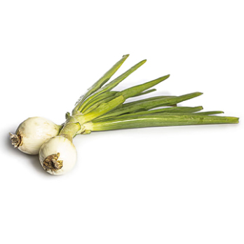 Gemüsezwiebel mit Grün