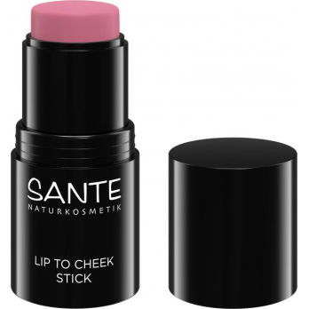 Lip to Cheek Stick 01 Rose Blush