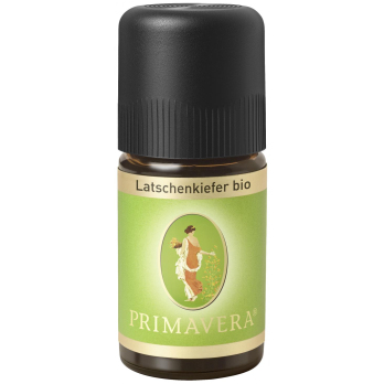 Latschenkiefer (ätherisches Öl)