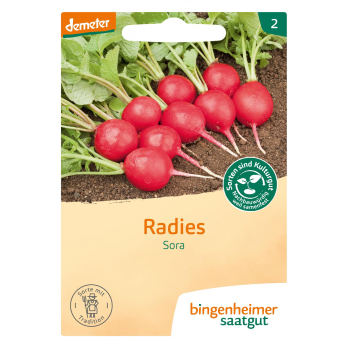 Saat Radieschen Sora