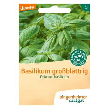 Saat Basilikum großblättrig