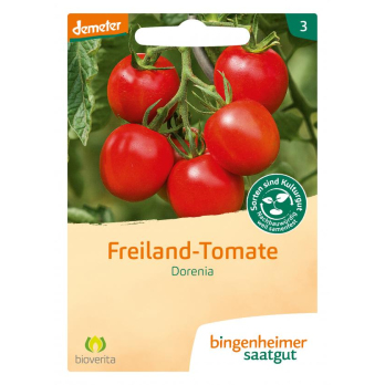Saat Tomate "Dorenia" (Freilandtomate)