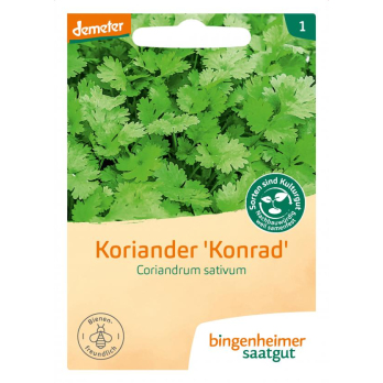 Saat Koriander