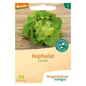 Saat Kopfsalat "Lucinde"