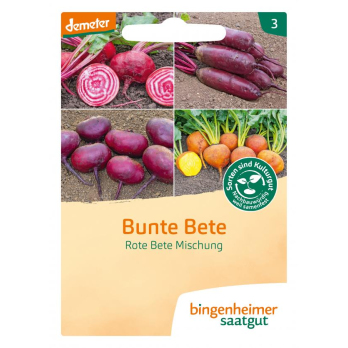 Saat Bunte Bete Mischung