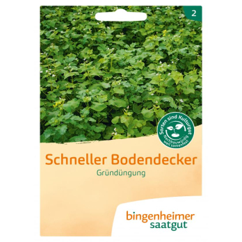 Saat Schneller Bodendecker Gründüngung