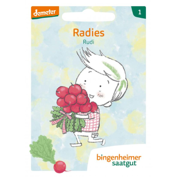 Saat Radies Rudi