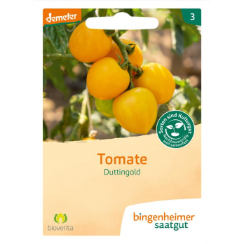 Saat Tomate "Duttingold" gelb
