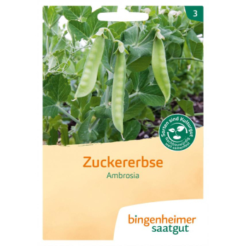 Saat Zuckererbse "Ambrosia"