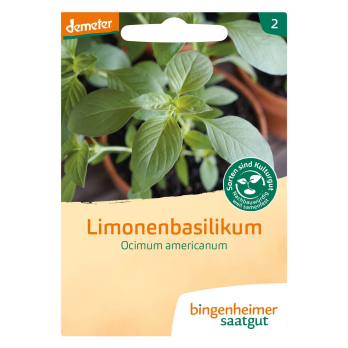 Saat Limonen Basilikum